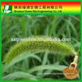 Supply natural horse tail extract organic silicon 7%